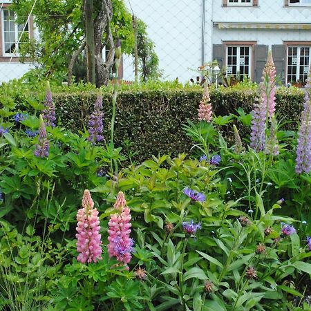La Vieille Eglise Bed & Breakfast Le Hohwald Exterior photo