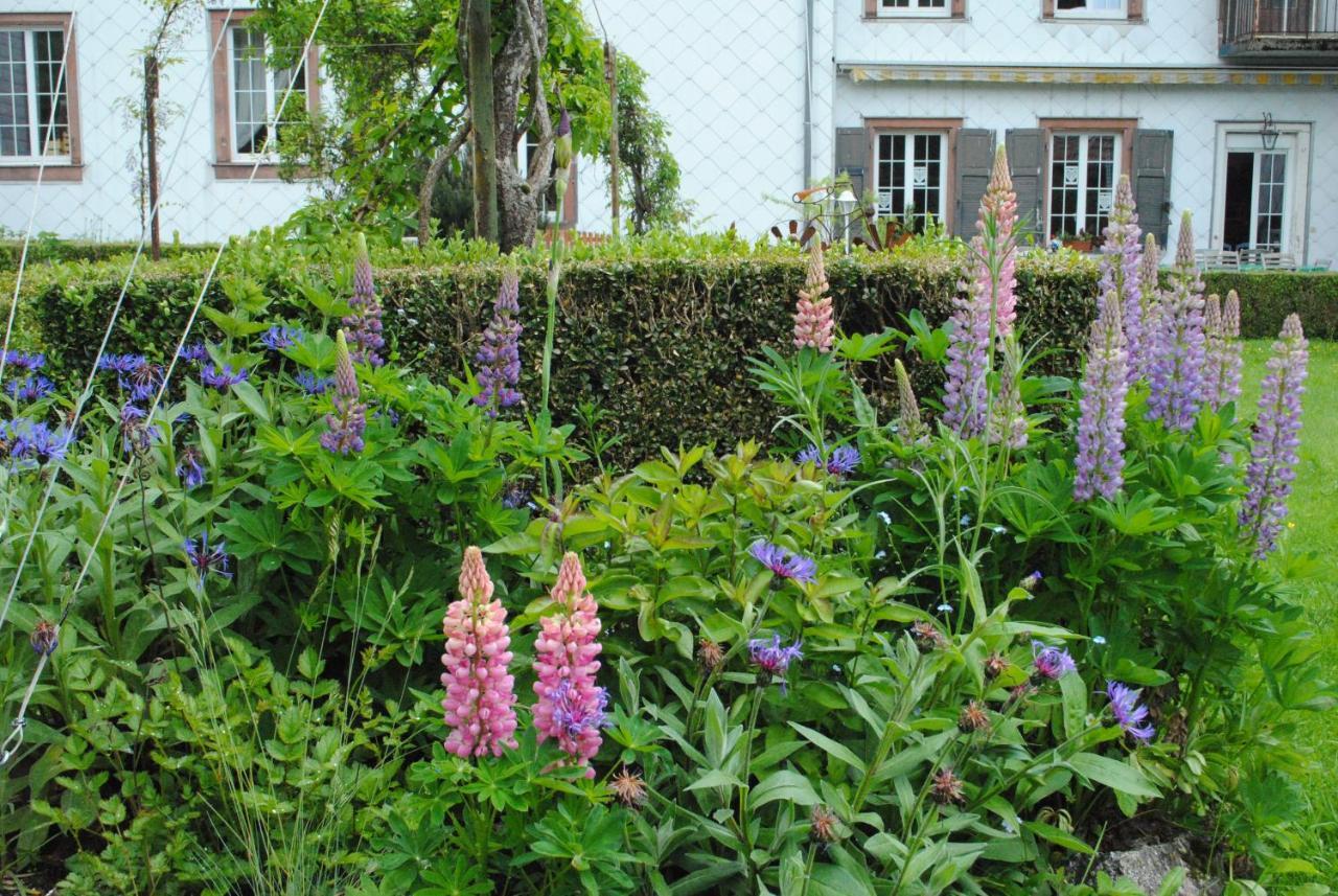 La Vieille Eglise Bed & Breakfast Le Hohwald Exterior photo